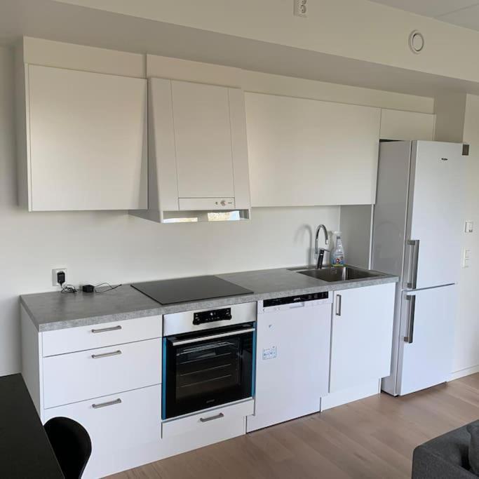 Scandpoint Apartment Fornebu Near Sea Front With Outdoor Walk! Stabekk Екстер'єр фото